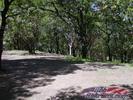 Low Gap Park - Hole 11