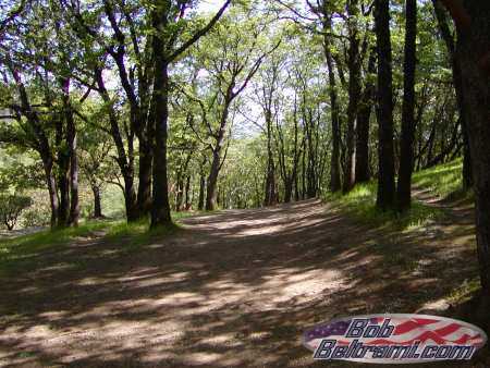 Low Gap Park - Hole 12