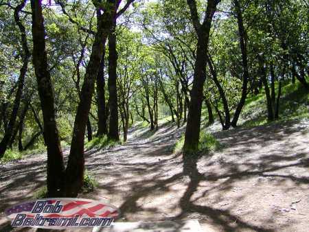 Low Gap Park - Hole 13