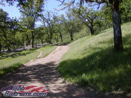 Low Gap Park - Hole 14